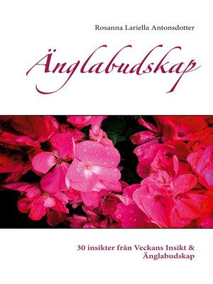 cover image of Änglabudskap